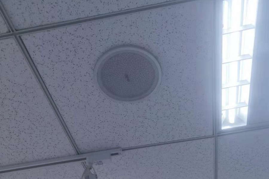 吸頂定向喇叭